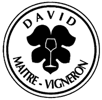 DAVID MAITRE-VIGNERON
