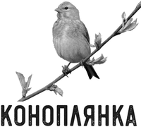 KONOPLYANKA
