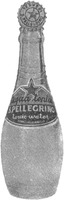 Acqua tonica S. PELLEGRINO