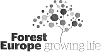 Forest Europe growing life