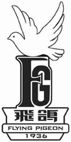 FLYING PIGEON