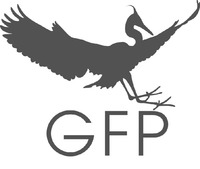 GFP