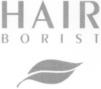 HAIR BORIST