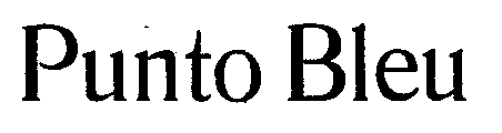 Punto Bleu