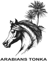 ARABIANS TONKA