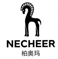 NECHEER