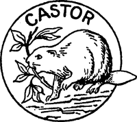 CASTOR