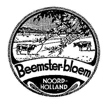 Beemster-bloem