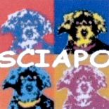 SCIAPO