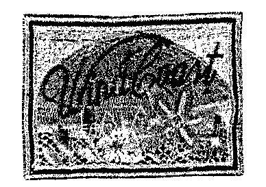 WindCoast