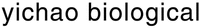 yichao biological