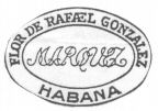 FLOR DE RAFAEL GONZALEZ MARQUEZ