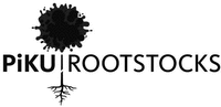 PiKU ROOTSTOCKS