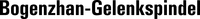 Bogenzahn-Gelenkspindel