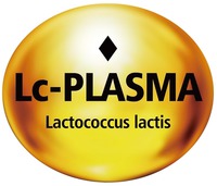 Lc-PLASMA Lactococcus lactis