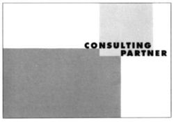 CONSULTING PARTNER