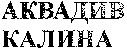AKVADIV KALINA.