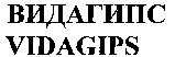 VIDAGIPS