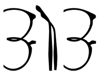 313