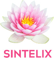 SINTELIX