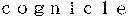 cognicle
