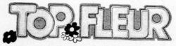 TOP FLEUR