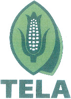TELA
