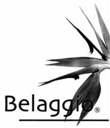 Belaggio