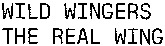 WILD WINGERS THE REAL WING