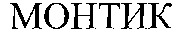  MONTIK 