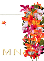 MN