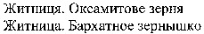 ZHITNICYA, OKSAMYTOVE ZERNYA, ZHITNICA, BARHATNOE ZERNISHKO.