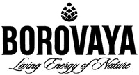 BOROVAYA Living Energy of Nature