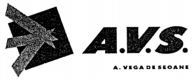 A.V.S. A. VEGA DE SEOANE