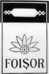 FOISOR