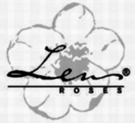 Lens ROSES