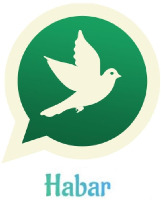 Habar