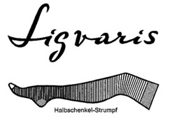 Sigvaris
