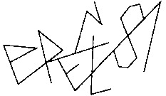 ERECT81