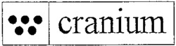 cranium
