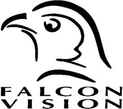 FALCON VISION