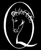 Q