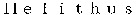 Helithus