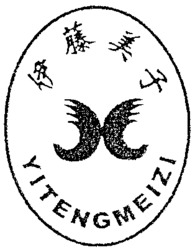 YITENGMEIZI