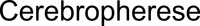 Cerebropherese
