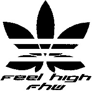 Feel high Fhw