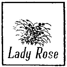 Lady Rose