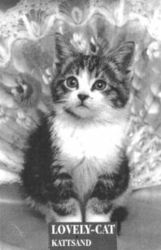 LOVELY-CAT KATTSAND