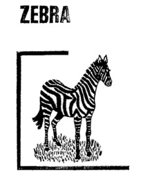 ZEBRA