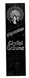 pigmentan Gipfel Bräune